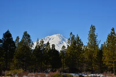 DSC_5908 (Large).JPG